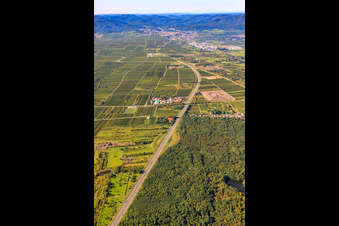 Aerial view of Industrial estate on the A650 in Ellerstadt in the state Rhineland-Palatinate, Germany