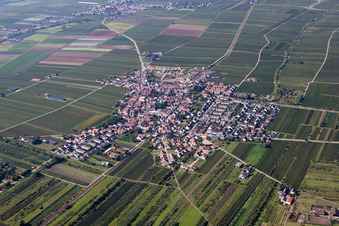 Aerial view of Village - view on the edge of agricultural fields and farmland in Fussgoenheim in the state Rhineland-Palatinate, Germany