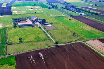 Aerial view of Pfalzblick Stud in Hochdorf-Assenheim in the state Rhineland-Palatinate, Germany