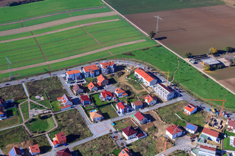 At the tobacco field in Kandel in the state Rhineland-Palatinate, Germany