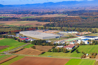 Horst Industrial Estate, 2nd Construction Phase Gazely Logistics STS Group in the district Minderslachen in Kandel in the state Rhineland-Palatinate, Germany