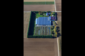 Oblique view of Sudetenhof in Steinweiler in the state Rhineland-Palatinate, Germany