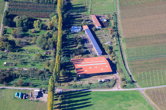 Aerial view of Hirtenbrunner Hof on the Aalmühl in Ilbesheim bei Landau in the state Rhineland-Palatinate, Germany