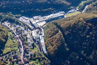 Oblique view of Chripa Paletten GmbH in the district Sarnstall in Annweiler am Trifels in the state Rhineland-Palatinate, Germany