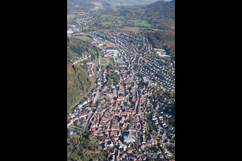 Annweiler am Trifels in the state Rhineland-Palatinate, Germany from above