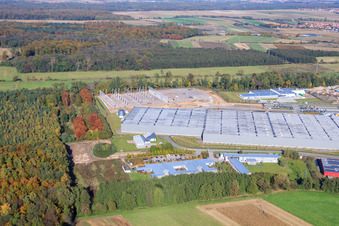Horst Industrial Estate, 2nd Construction Phase Gazely Logistics STS Group in the district Minderslachen in Kandel in the state Rhineland-Palatinate, Germany out of the air