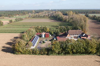 Leistenmühle in Erlenbach bei Kandel in the state Rhineland-Palatinate, Germany from above
