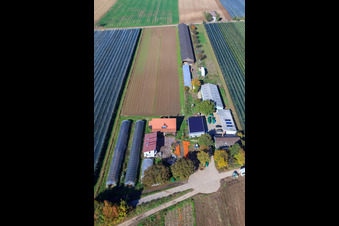 Aerial photograpy of Holderbühlerhof pumpkin harvest in Kandel in the state Rhineland-Palatinate, Germany