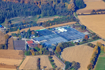 Aerial photograpy of Geraniums Endisch GmbH in Hagenbach in the state Rhineland-Palatinate, Germany