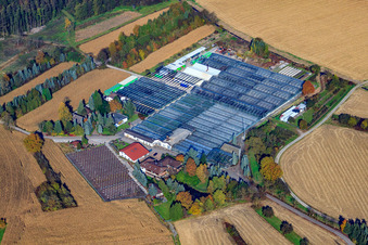 Oblique view of Geraniums Endisch GmbH in Hagenbach in the state Rhineland-Palatinate, Germany