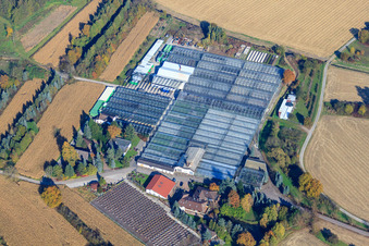 Geraniums Endisch GmbH in Hagenbach in the state Rhineland-Palatinate, Germany out of the air