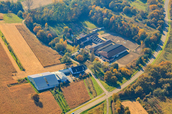 Horse farm in Hagenbach in the state Rhineland-Palatinate, Germany