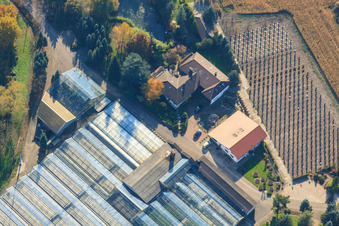 Bird's eye view of Geraniums Endisch GmbH in Hagenbach in the state Rhineland-Palatinate, Germany