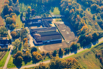 Aerial view of Horse farm in Hagenbach in the state Rhineland-Palatinate, Germany