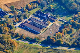 Aerial photograpy of Horse farm in Hagenbach in the state Rhineland-Palatinate, Germany