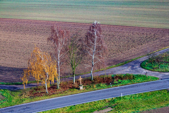 Wayside cross between Hayna and Hatzenbühl in Hatzenbühl in the state Rhineland-Palatinate, Germany