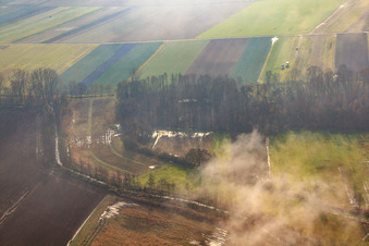 Erlenbach in Kandel in the state Rhineland-Palatinate, Germany