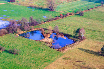 Biotope in the Otterbach lowlands in Minfeld in the state Rhineland-Palatinate, Germany