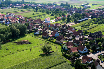 Niederlauterbach in the state Bas-Rhin, France out of the air