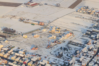 New development in tobacco field in winter with snow in Hatzenbühl in the state Rhineland-Palatinate, Germany