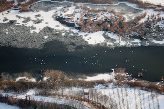 Oberwald industrial area in Wörth am Rhein in the state Rhineland-Palatinate, Germany from above