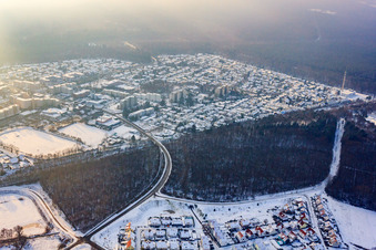 Dorschberg in winter with snow in Wörth am Rhein in the state Rhineland-Palatinate, Germany