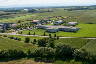 Scheibenhardt in Scheibenhard in the state Bas-Rhin, France from above