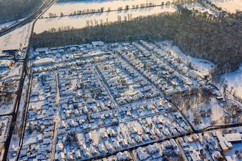 Aerial view of Settlement in winter with snow in Kandel in the state Rhineland-Palatinate, Germany