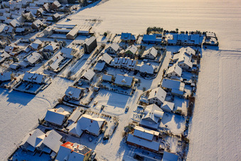 Aerial view of In Geiersching in winter/snow in the district Hayna in Herxheim bei Landau in the state Rhineland-Palatinate, Germany