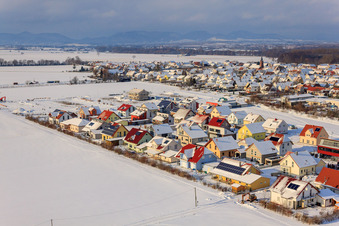 Maple Trail in winter with snow in Steinweiler in the state Rhineland-Palatinate, Germany