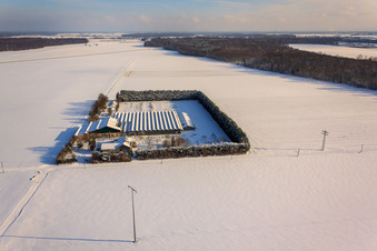 Aerial photograpy of Sudetenhof in winter with snow in Steinweiler in the state Rhineland-Palatinate, Germany
