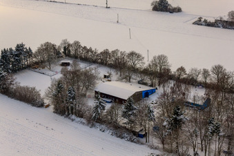 Film animal school Zimek, dog boarding in winter with snow in Minfeld in the state Rhineland-Palatinate, Germany