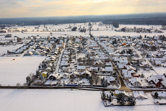 Wooden alley in winter with snow in Minfeld in the state Rhineland-Palatinate, Germany
