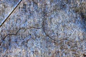 Course of the Pfirsinggraben in the Bienwald forest during snowfall in winter in the district Büchelberg in Wörth am Rhein in the state Rhineland-Palatinate, Germany