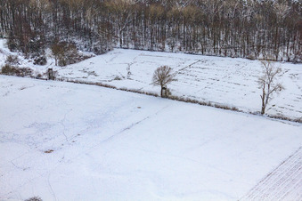High seat at Neugraben in the Otterbach lowlands during snowfall in winter in the district Schaidt in Wörth am Rhein in the state Rhineland-Palatinate, Germany