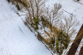 Krumböck's Hut in Minfeld in the state Rhineland-Palatinate, Germany