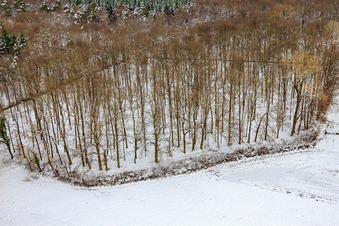 Forest cemetery Bienwaldruhe in snow in winter in Kandel in the state Rhineland-Palatinate, Germany