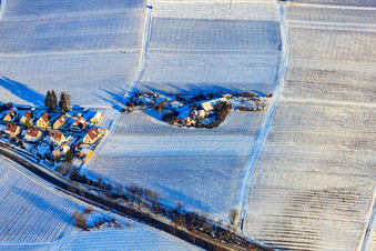 Aerial view of Winegrower with grass roof in winter in the snow in the district Wollmesheim in Landau in der Pfalz in the state Rhineland-Palatinate, Germany