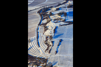 Small Kalmit in winter with snow in Ilbesheim bei Landau in the state Rhineland-Palatinate, Germany
