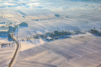 Horse boarding Hirtenbrunner Hof at the Aalmühl in winter with snow in Ilbesheim bei Landau in the state Rhineland-Palatinate, Germany