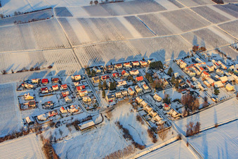 Niederhorbach in the state Rhineland-Palatinate, Germany from the plane