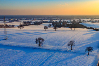 Fields and nut trees in the evening in winter with snow in Vollmersweiler in the state Rhineland-Palatinate, Germany