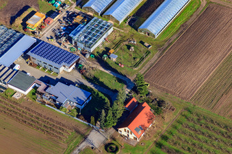 Aerial view of Farm shop Rainer & Sandra Kästel GbR in the district Geinsheim in Neustadt an der Weinstraße in the state Rhineland-Palatinate, Germany