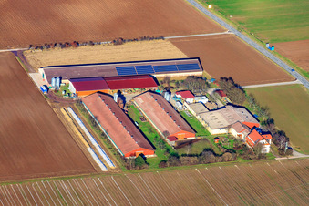 Wilfried Günther Turkey Farm and Klosterhof Vegetables GbR in Zeiskam in the state Rhineland-Palatinate, Germany