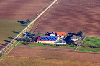 Aerial view of Binsenhof in Zeiskam in the state Rhineland-Palatinate, Germany