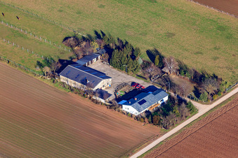 Resettler farm in the district Niederlustadt in Lustadt in the state Rhineland-Palatinate, Germany