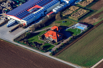 Aerial photograpy of Hortulanushof Vegetable Farming - Dieter Stubenbordt in Zeiskam in the state Rhineland-Palatinate, Germany