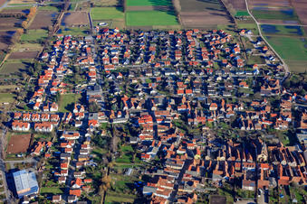 Aerial view of View of the town from the west in Zeiskam in the state Rhineland-Palatinate, Germany