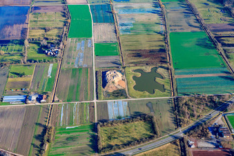Aerial view of Bürgersee of the fishing club Zeiskam eV in Zeiskam in the state Rhineland-Palatinate, Germany