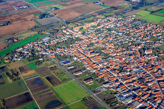 Oblique view of View of the town from the southwest in Zeiskam in the state Rhineland-Palatinate, Germany